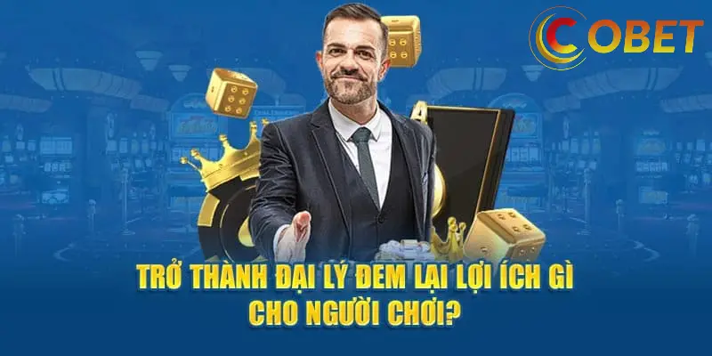Chính Sách Hoa Hồng Hấp Dẫn