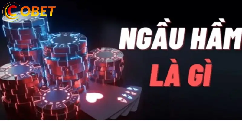 Bài ngầu hầm: Định Nghĩa và Cách Hoạt Động