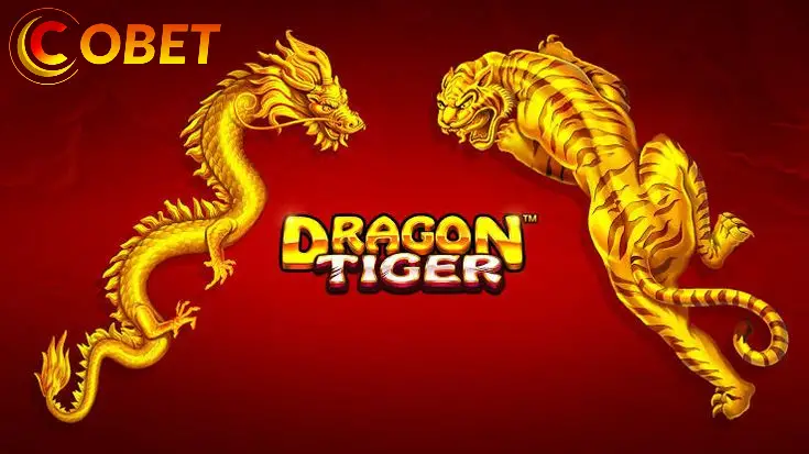 Các Chức Năng Chính trong Giao Diện Dragon Tiger